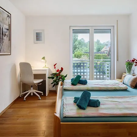 Modernes 5 Schlafzimmer Haus Mit T フライブルク