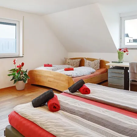 別荘 Modernes 5 Schlafzimmer Haus Mit T フライブルク