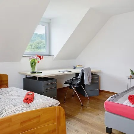 Modernes 5 Schlafzimmer Haus Mit T フライブルク
