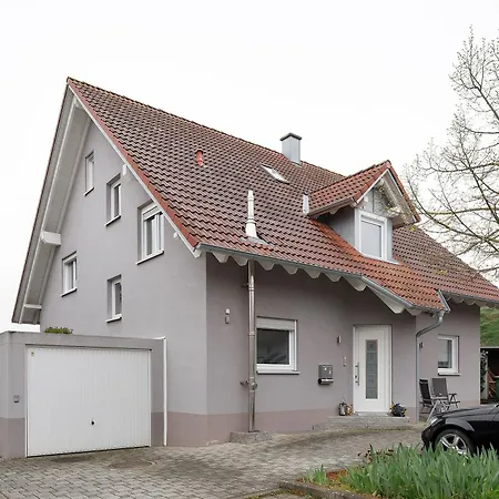別荘 Modernes 5 Schlafzimmer Haus Mit T フライブルク